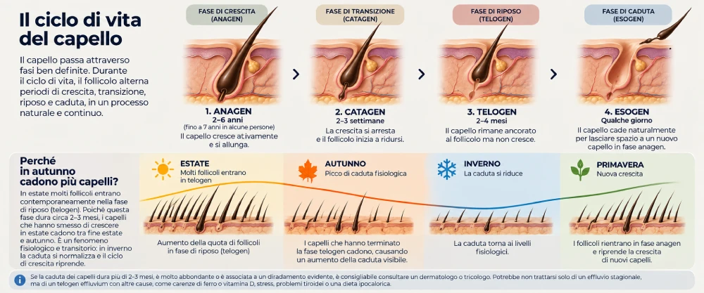 Caduta-dei-Capelli-in-Autunno-B