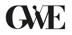 Gwe International srl Logo